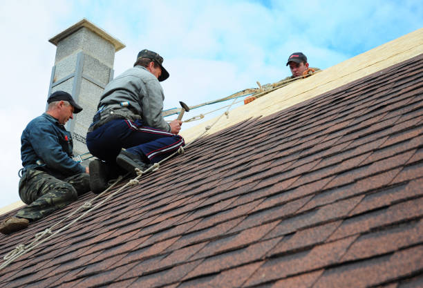 Quick and Trustworthy Emergency Roof Repair Services in Cheverly, MD